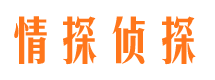 达日侦探